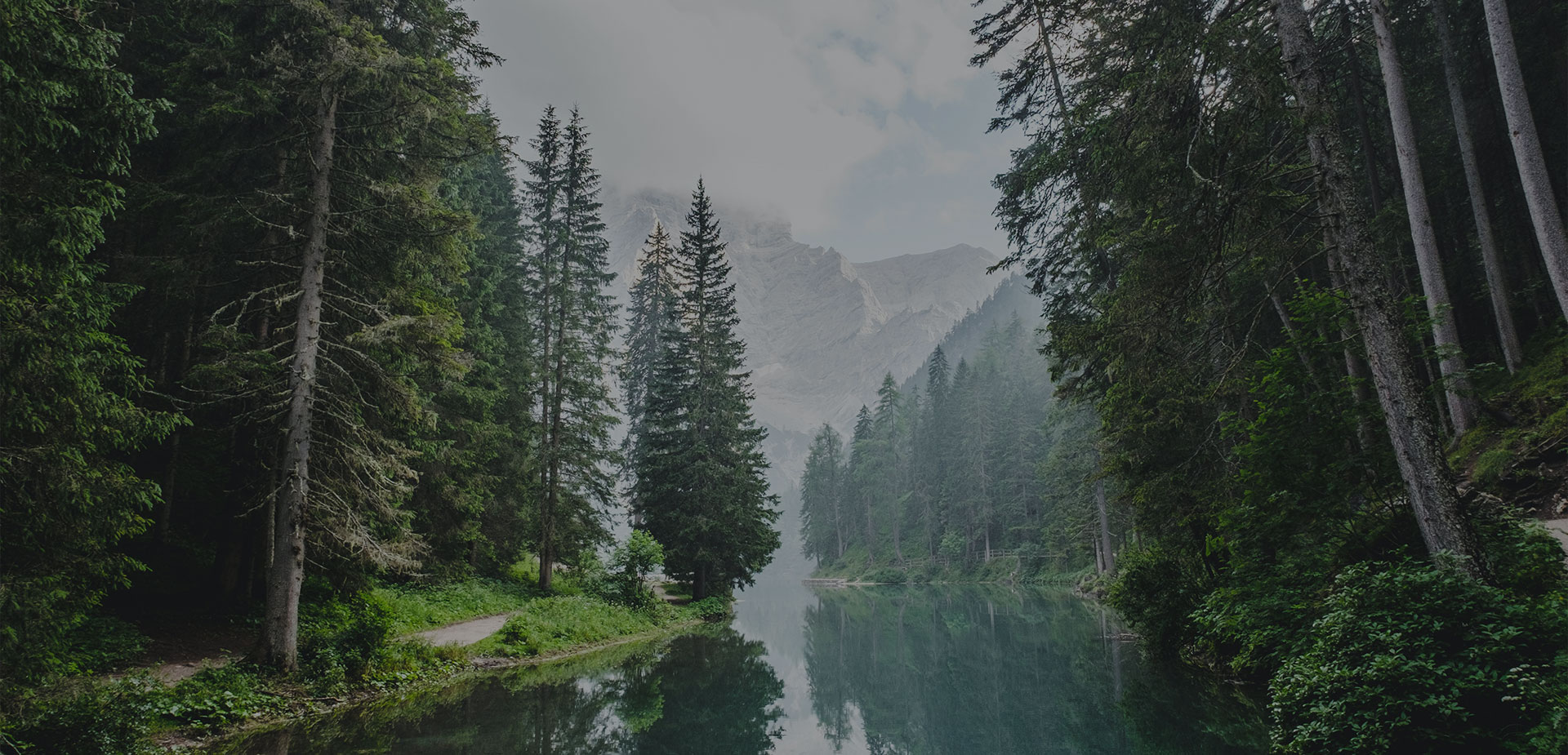 parallax background